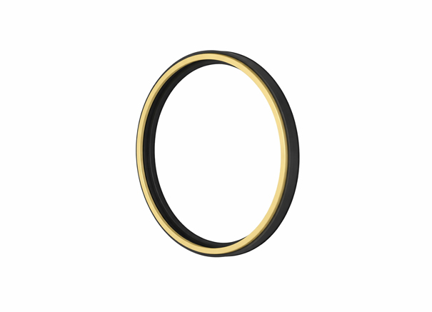 Ring Waser